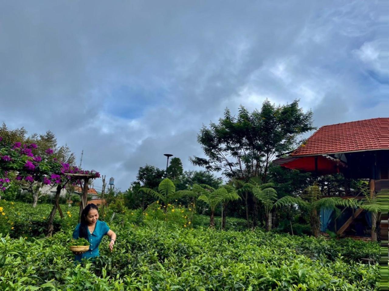 Villa Tea Garden House Bao Loc Exterior foto